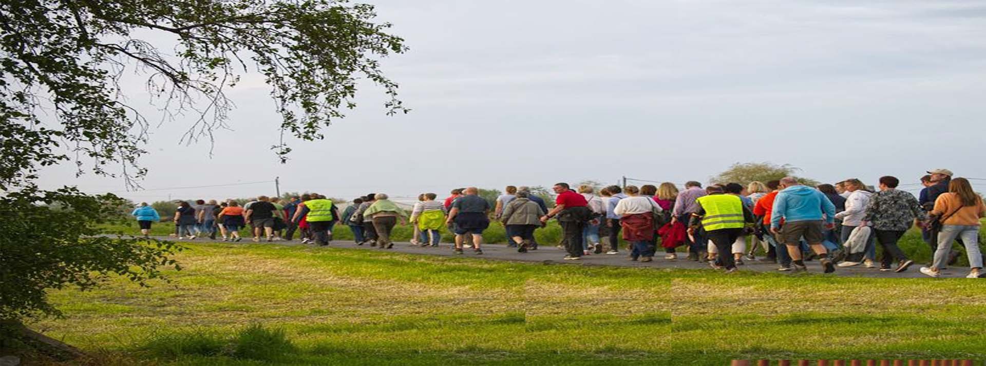 wandelen-met-wsv-wervik